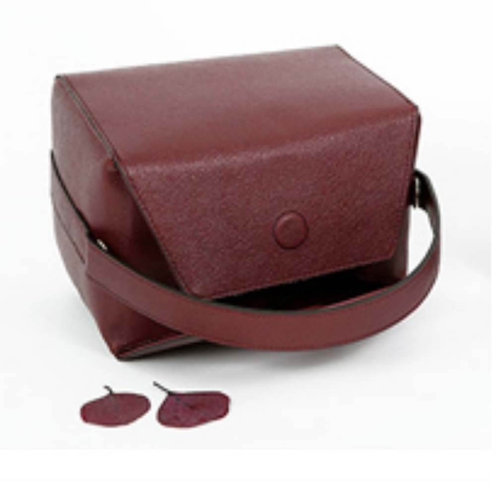 Vanity Box Bag